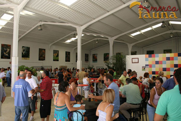 Mercado de la Alfalfa en Sevilla
