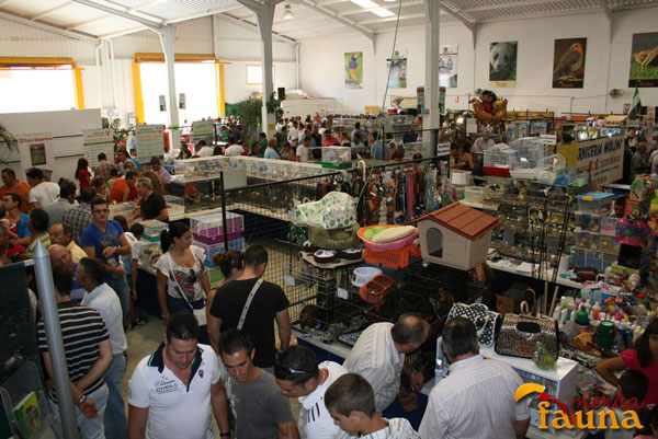 Mercado de la Alfalfa en Sevilla